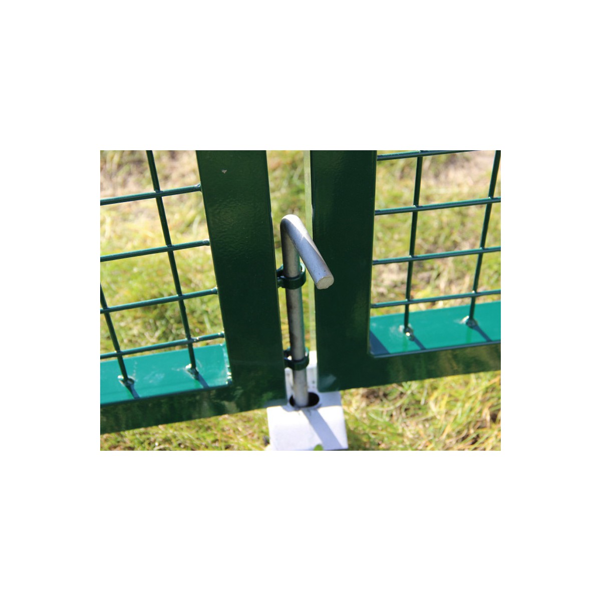 Poartă BD ECO 1600x3600 / ZN+PVC7016