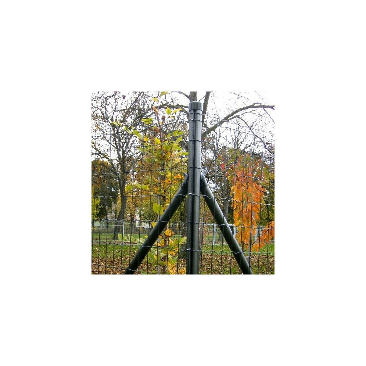 H-PLAST 80cm / 25m / ZN+PVC7016