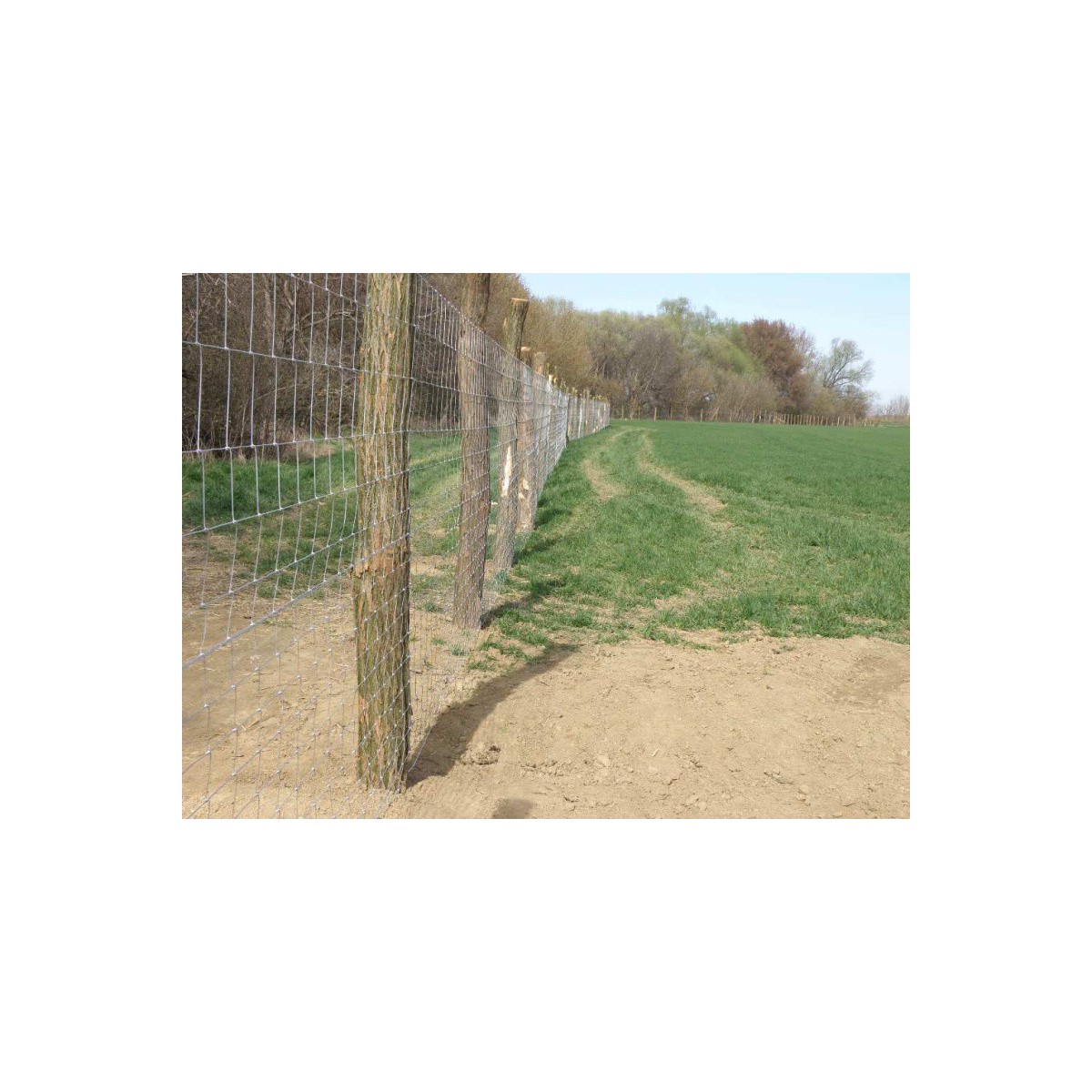 Uzl. pl. 100/15/08dr. / 1,60x2,00
