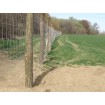 Uzl. pl. 115/15/12dr. / 2,20x3,10