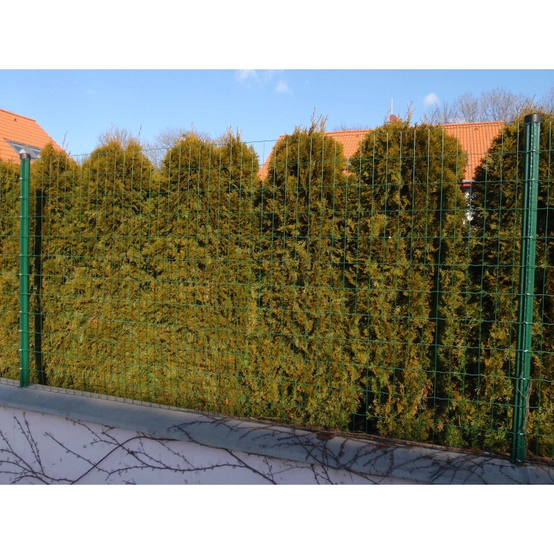 E-PLAST 60cm / 25m / green