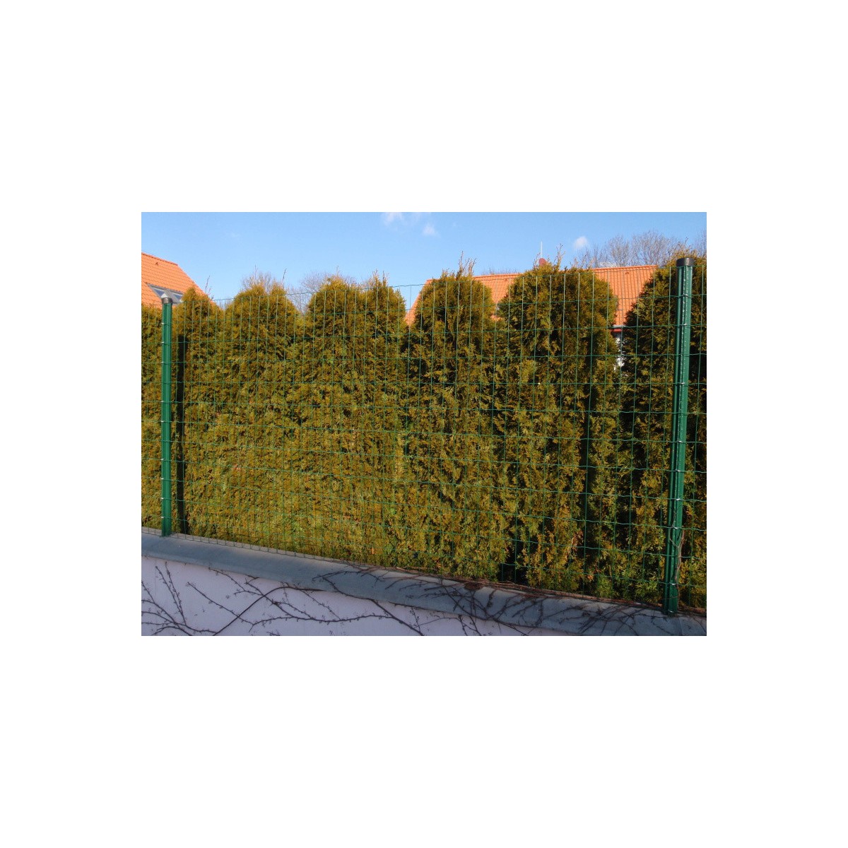 E-PLAST 150cm / 25m / verde