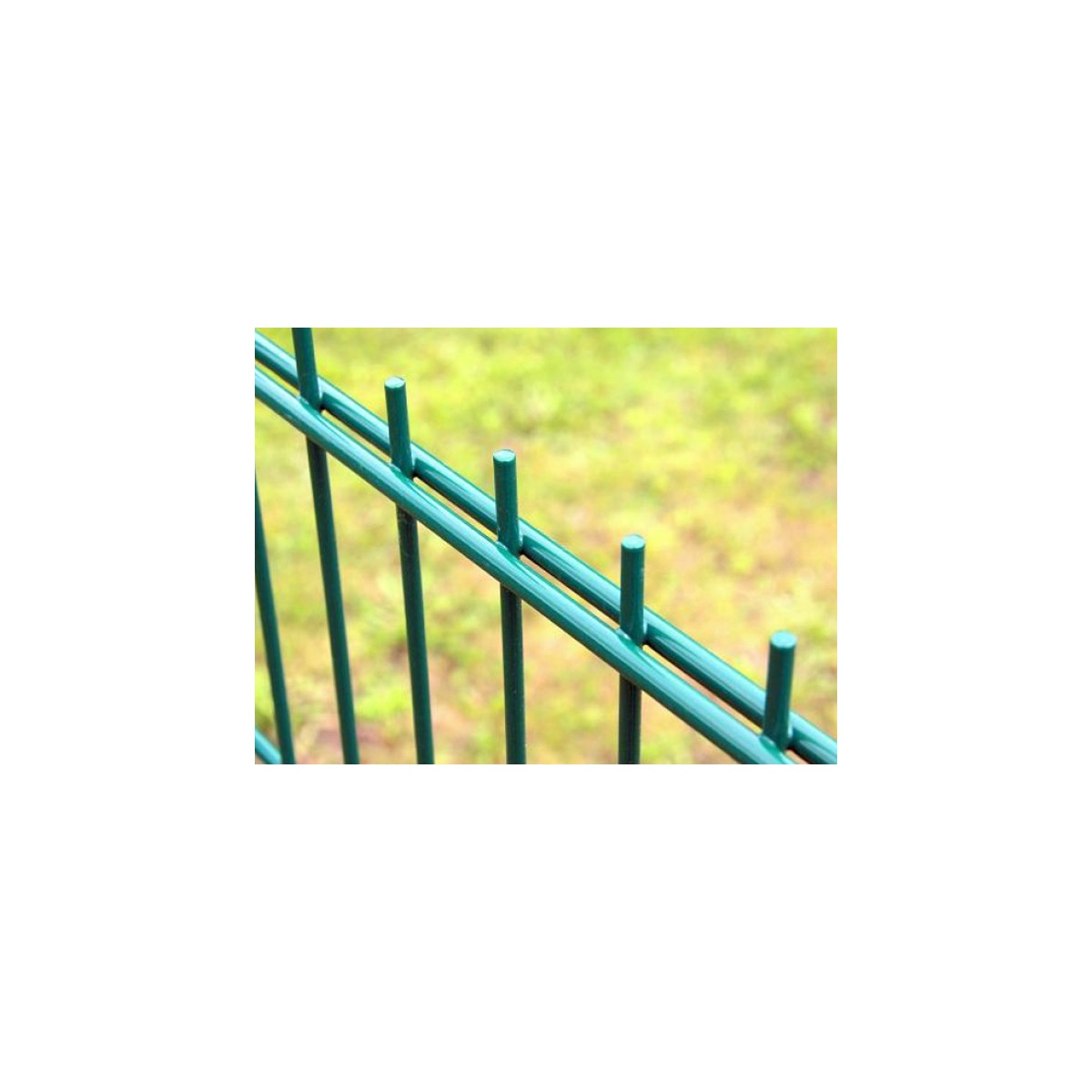 Fence panel DOUBLE 6/5/6 / 1630x2500 / ZN+PVC6005