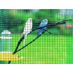 Sudură. pătrată pl. 16,0x16,0 / 1,20 / 1000 mm / 25m / ZN+PVC6005