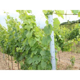 Stâlp viță de vie final HRON / 60x40x2,00x2700 SH / S250GD+Z275 / ZN / cârlige standard