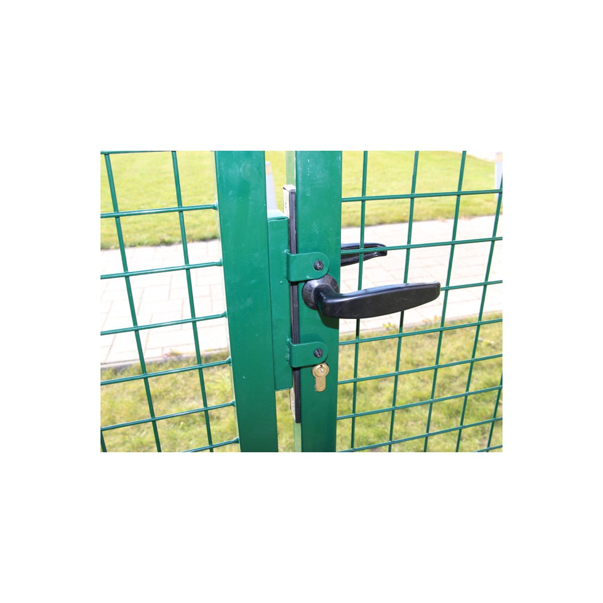 Poartă BD ECO 1500x3600 / ZN+PVC6005