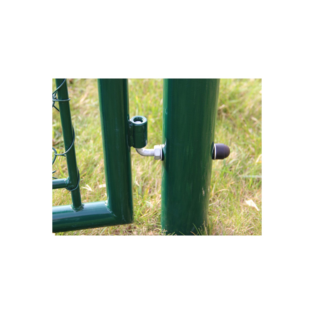 Poartă BJ GARDEN 1000x1000 / ZN+PVC6005