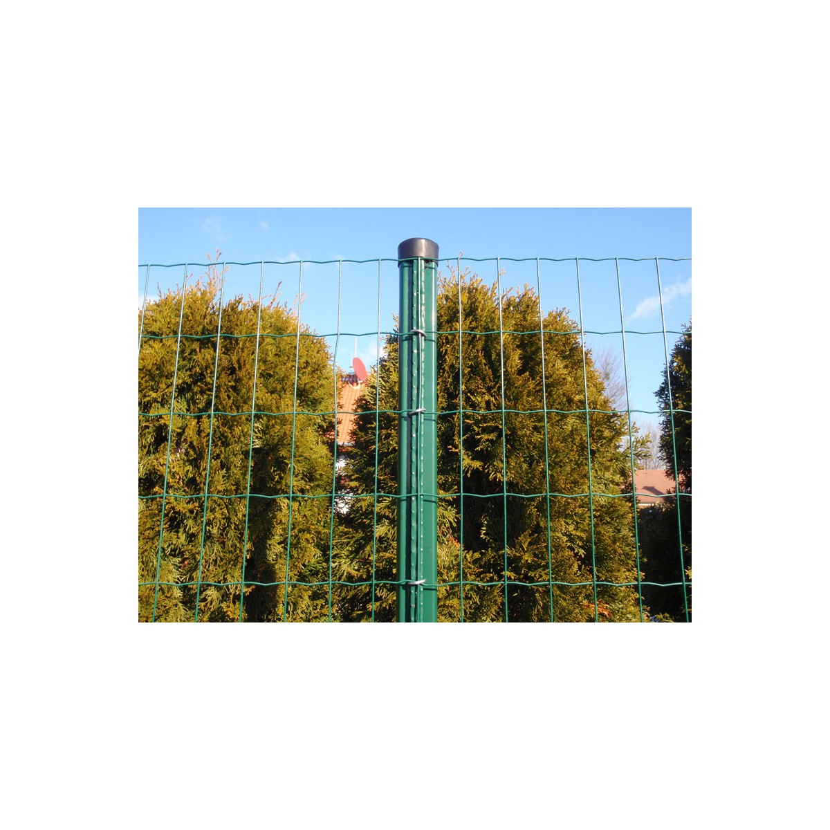 Stâlp AQUIGRAF 48x1,50x1800 / ZN+PVC6005