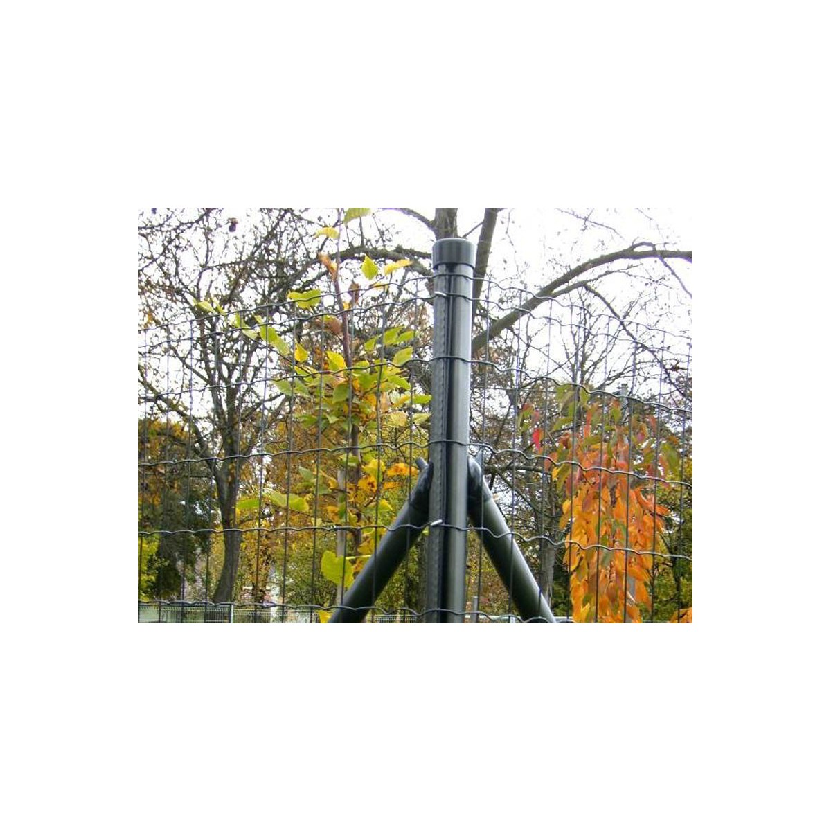 Stâlp AQUIGRAF 48x1,50x2500 / ZN+PVC7016